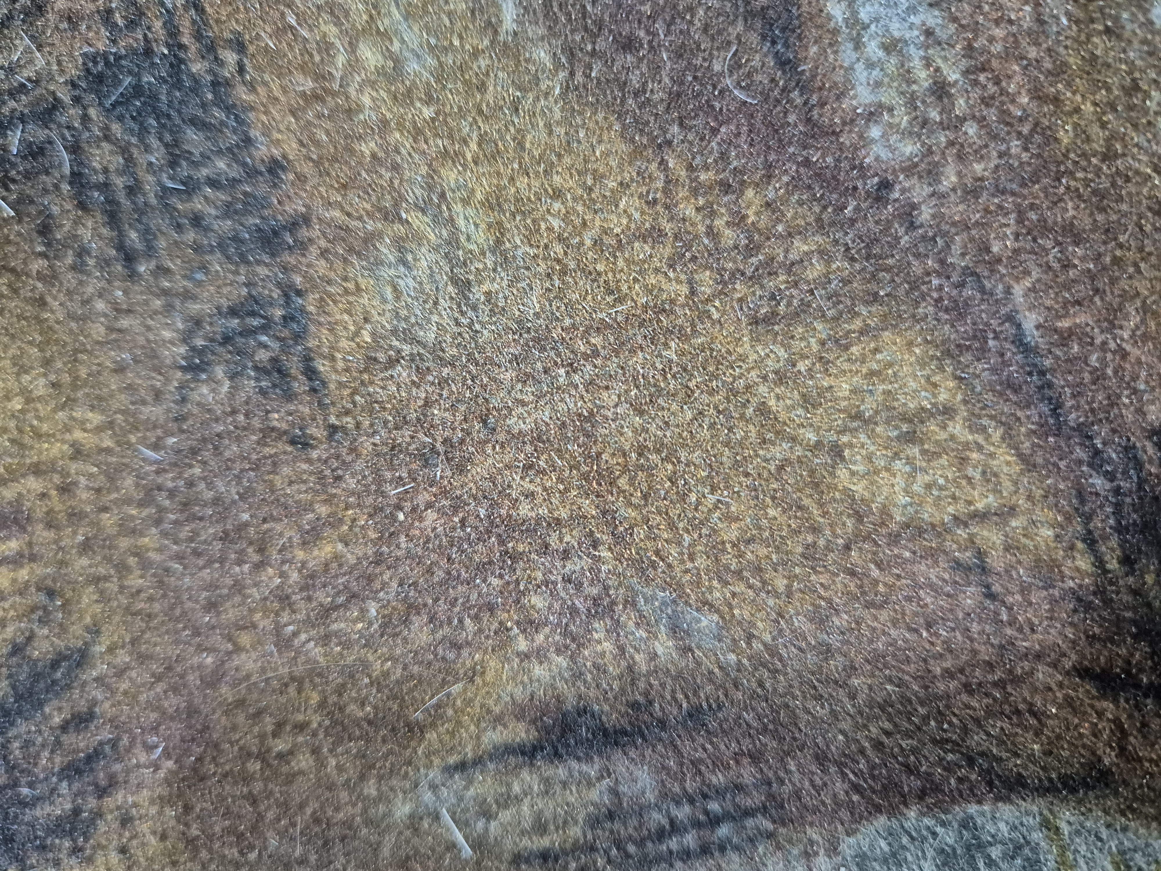 logoInmobiliariaPrueba